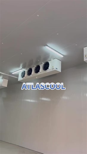 Freezer Room Cold Storage Solutions