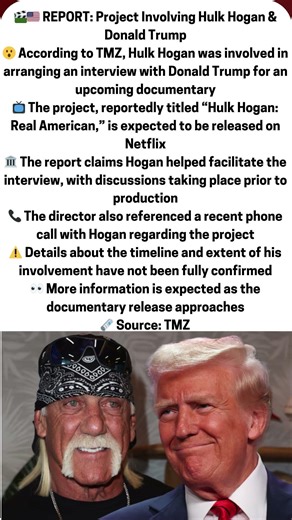 Project Involving Hulk Hogan & Donald Trump
