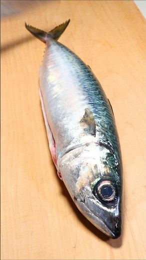 サバを料理する時に絶対やるべき捌き方と完璧な処理 #サバ #魚の捌き方 #料理
