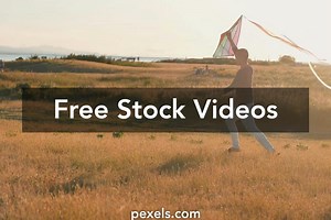 Free A Dog Chasing A Man Videos