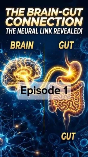 The Vagus Nerve: Why Your Gut Is Your Second Brain #shorts #nervesystem #body
