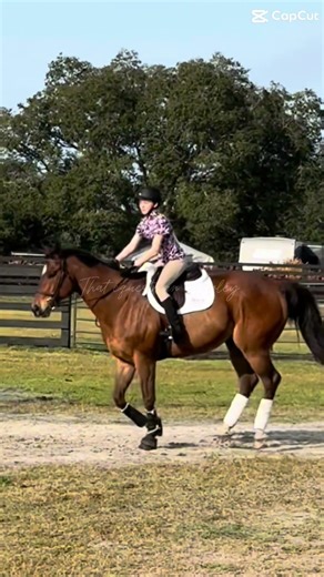 Finally wearing chaps again🤭 #horse #equestrian #riding #pony