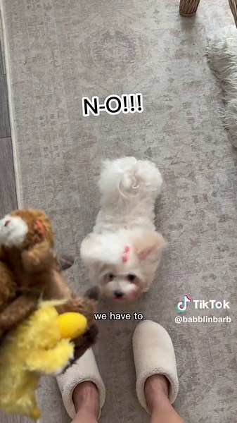 Barb's Hilarious Bath Day Antics with Stuffed Animals