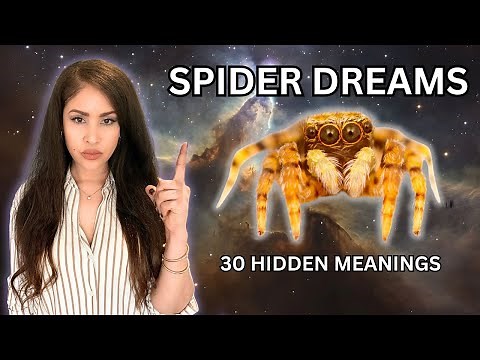 Why You’re Dreaming About Spiders (and What It Means)