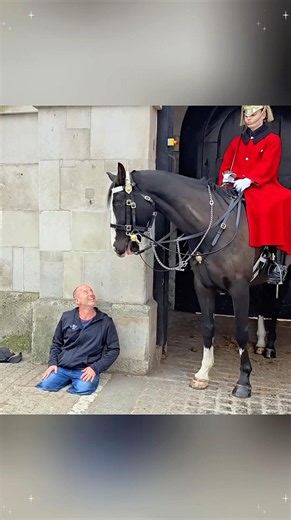 Heartwarming moments for the king’s Guard and people with disabilities#kings#horseguards #kingsguard