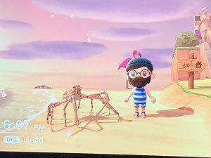 Animal Crossing: New Horizons - All The Sea Creatures You Can Display | Summer Update Guide - Gameranx