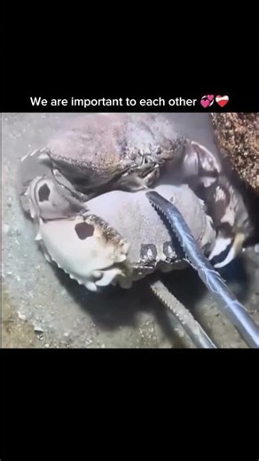 we are important to each other 💞❤️‍🩹