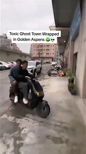 Gilman, Colorado...a toxic ghost town you can’t legally explore...just happens to sit in one of the most stunning spots for fall colors. 🍂 Golden aspens surround the abandoned homes and buildings, creating an eerie mix of beauty and history. The video footage is from September 21, 2024 (taken from the road)...so there's plenty of time to plan a leaf peeping trip that includes this spot (from the road...don't trespass).🙂 . . . ------------------------------------------------- #coloradofanclub #