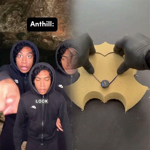 How it is for Humans in the Rain VS Ants in the Rain 🐜 #comedy