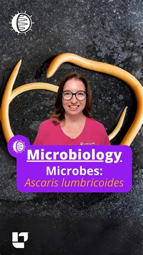 🦠 Cathy provides an overview of Ascaris lumbricoides, the parasitic worm that causes ascariasis. 📚 Learn something new? Let us know in the comments. 👍 Like | 🔔 Follow | 📤 Share with your study group! #NCLEX #HESI #Microbiology #RN #PN #ascaris #LVN #Nursingstudent #Nurse #nurseeducator #StudentNurse #STEM #microbes #NursingSchool #LPN | Level Up RN