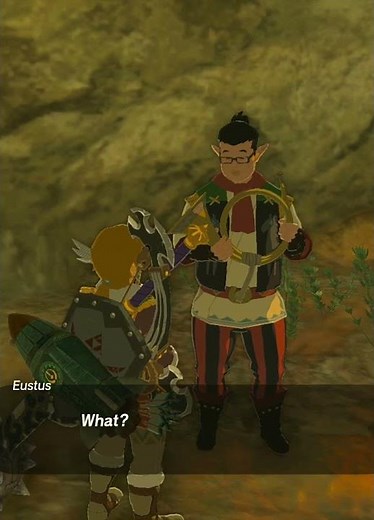 Great Fairy Fountain Quest PART 4 | Zelda TotK #zelda #totk #tearsofthekingdom #zeldatotk