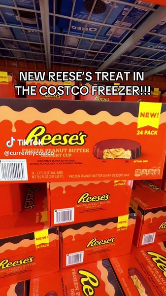 Reese's Peanut Butter Frozen Dessert Cups at Costco: A Chocolate Lover's Dream!