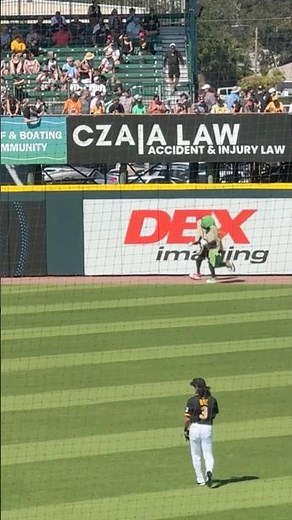Pittsburgh Pirates pierogi race at LECOM Park