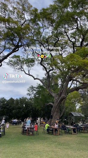 If you know me, you know this is my absolute favourite cafe 🥰📍 Scenic Rim Farmshop #farmcafe #scenicrim #farmshop #flowerfarm #fyp