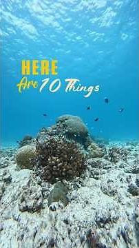 Let this be on your bucket list next time you visit Lakshadweep islands. #lakshadweep#foryou #travel