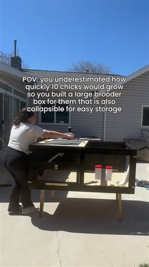 3.4K views · 248 reactions | Comment BROODER to join the waitlist to...