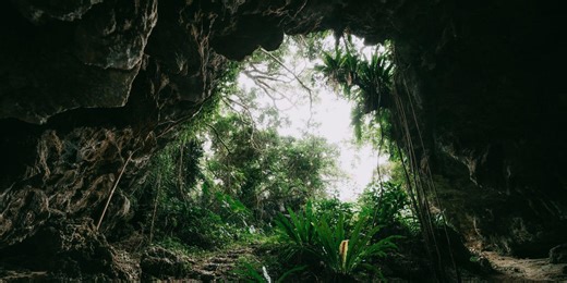 Scientists explored an island cave and found 1 million-year-old remnants of a lost world