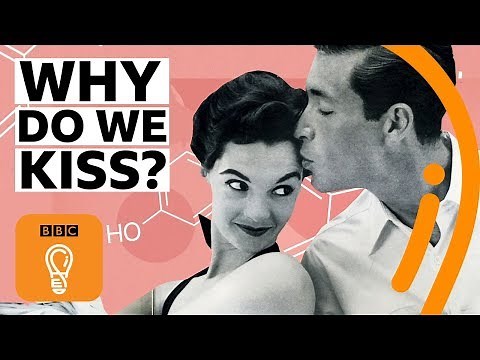 The science behind why we kiss | BBC Ideas