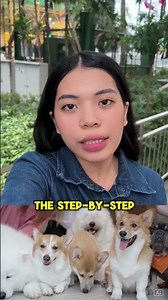 Service Dog Training Order: What to Teach First (And Why)