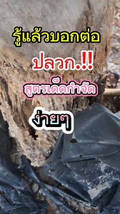 ใครๆก็ทำได้..กำจัดปลวกง่ายๆ #สมุนไพร #กำจัดปลวก #ปลวก #สาระความรู้ | กมล นามทัศน์