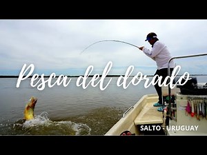 Pesca del Dorado en Salto, Uruguay.