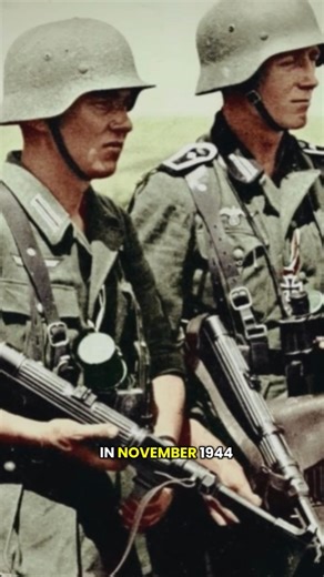 Rescue in the Minefield: How a German Lieutenant Died Saving a US Soldier #history #ww2 #germany