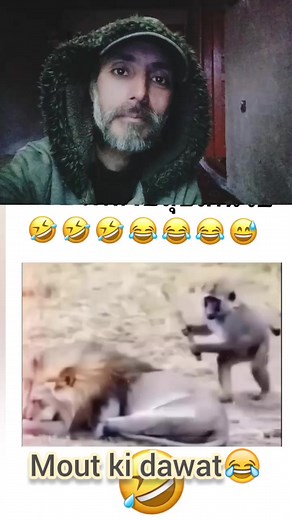 Bandar ka akhri din😃😃😄😄😆😆😃😃😃😄😄😆😂😂😂😂😂 #funnyreels #followme #viral | comedy circus official