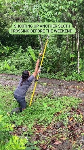 Building a Sloth Crossing: Giant Slingshot Step
