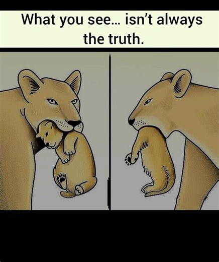 It’s All About Perspective 👀 | Deep Life Lesson