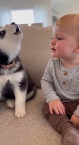 Lina Tamasari on Reels