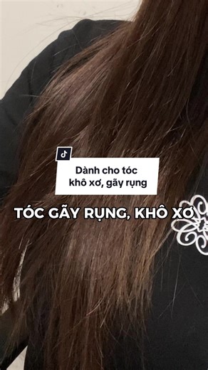 Dầu gội cho tóc khô xơ, gãy rụng: Đánh bay nỗi lo với combo chăm sóc tóc đỉnh cao