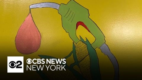 Brooklyn school is first in NYC to heat its building entirely with vegetable oil biofuel | Haystack News