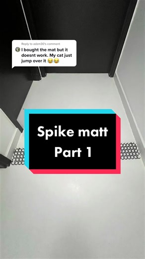 Reply to @adzm30 Experiment with the spike matt #experiment #catoftiktok