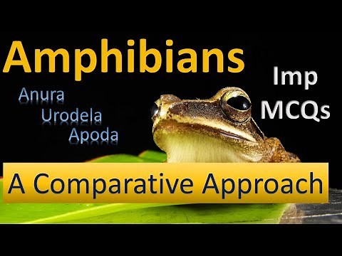Amphibians | Features Comparison | Anura, Urodela, Apoda |Important MCQs | PPSC Biology