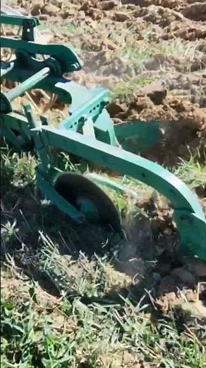 Concours de Labour à l'ancienne. 24-08-2025 .