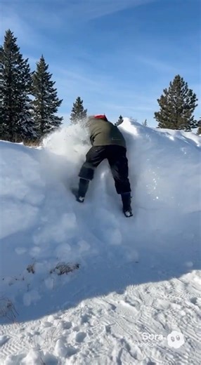 Epic Snow Jump Gone Wrong 🥶😭 #challenge #snow #fail