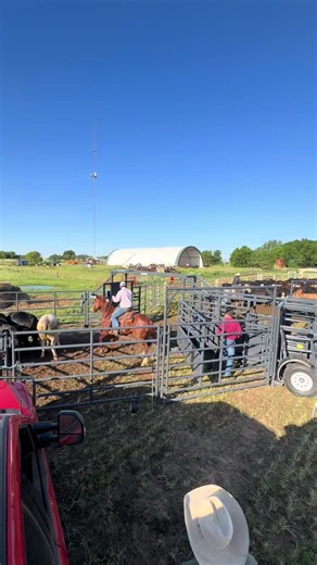 A good set of corrals should do more than hold cattle. It should help you work them. One thing we like about the Rawhide Portable Corrals is how flexible the setup can be when it’s configured correctly. In this reel, we’re using the Bud Box and internal sorting gate to help move cattle efficiently, sort where needed, and load without adding extra stress to the crew or the cattle. Whether you’re processing, sorting, loading, or all three in the same day, the right setup makes a difference. We’ve 