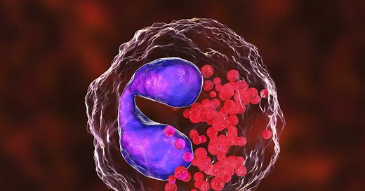 Polynucléaires éosinophiles : bas ou élevés, rôle, interprétation des analyses