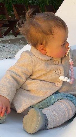 480K views · 10K reactions | Lady Elliot Island, The Great Barrier Reef  | Bindi Irwin | Facebook