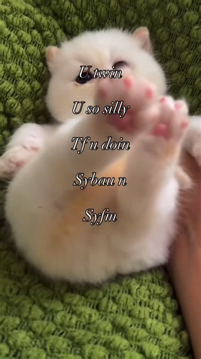 @plstwinsybau | #sybau #twin | Instagram