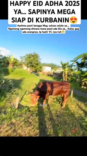 42 reactions | Mega kurban sapi tahun ini 爐 | Danny Danny | Facebook