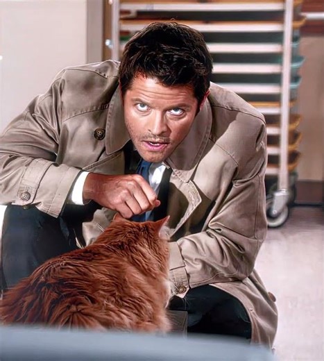 "Catstiel Talking To Cat" - Castiel Edit #edit #shorts #supernatural