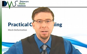 CFD 网格变形 动网格 (Mesh Deformation)