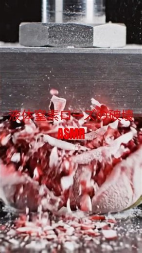 【音量注意】ガラスの様に砕ける液体窒素ローズの破壊ASMR 🎧 Frozen Rose Crushing 🌹 #asmr #作業用bgm