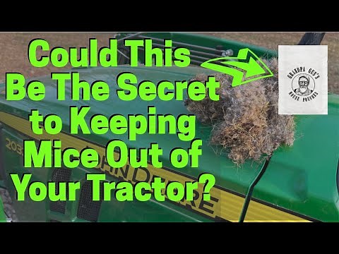 Review: Does Grandpa Gus's Mouse Repellent Really Work?