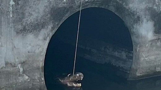 71-year-old Florida man accused of lassoing 9-foot alligator, tying it to railing