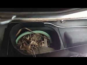 How to Fix BMW Blower Motor Fan Noise & AC Vibrations | 328i F30 Blower Motor