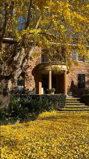 Home tour: Inside a timeless 1930s heritage house renovation in Sydney Australia