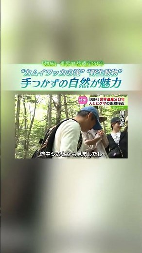 共生の道を探る知床 “人とヒグマの接近”に警鐘「一触即発」事故の懸念は以前から…対策の最前線に密着 #shorts