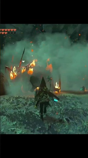 Zelda Tears of the Kingdom funny moments #viral #gaming #nintendo #totk #zelda #botw #shorts